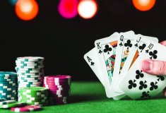 Player Review: Real experience of playing at Vbet Casino