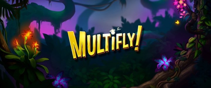 Multifly!